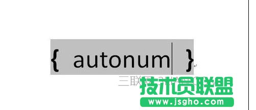 word中如何設置域