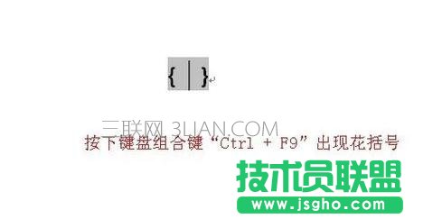 word中如何設置域 三聯