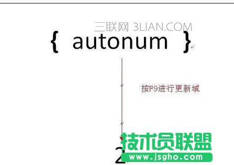 word中如何設置域