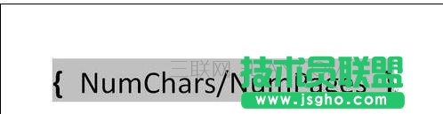 word中如何設置域