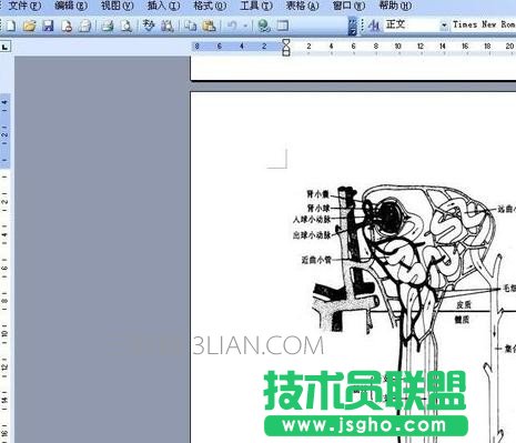 ppt無法顯示圖像如何處理 三聯