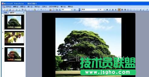 ppt中音樂如何一直播放，ppt音樂怎么一直播放 三聯