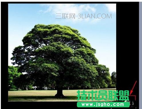 ppt2007怎么設置音樂一直播放