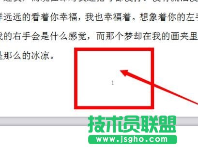 wps2016怎么設置頁碼格式