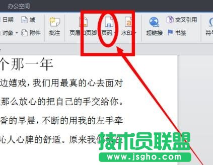 wps2016怎么設置頁碼格式