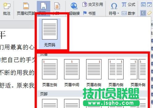 wps2016怎么設置頁碼格式