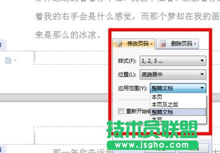wps2016怎么設置頁碼格式