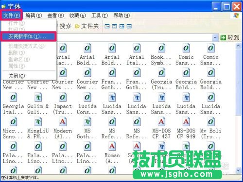 深度技術WINXP系統安裝字體(4)