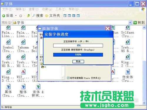 深度技術WINXP系統安裝字體(8)