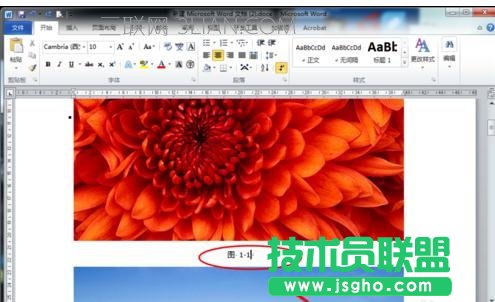 word怎么給圖片插入注釋 三聯