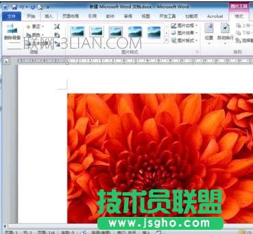 word怎么給圖片插入注釋