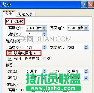 word中如何任意調整圖片大小