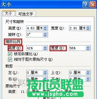 word中如何任意調整圖片大小