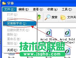 電腦公司winxp系統安裝字體(3)