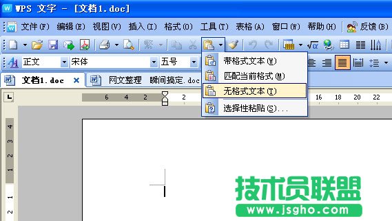 WPS文字快速網(wǎng)上文字規(guī)范化教程