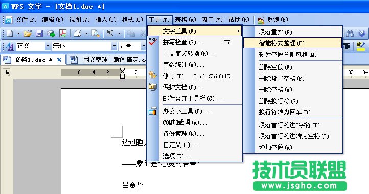 WPS文字快速網(wǎng)上文字規(guī)范化教程