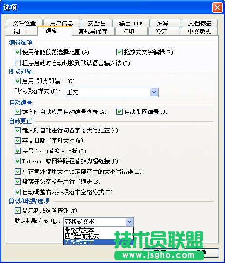 WPS文字快速網(wǎng)上文字規(guī)范化教程