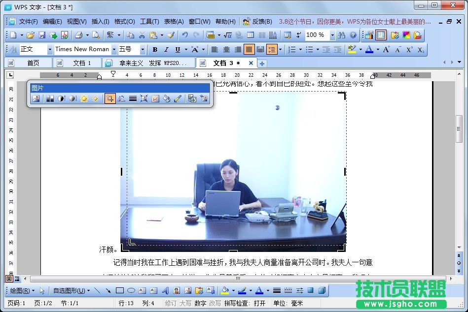 WPS文字打印實用教程
