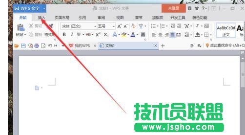 wps文字怎樣顯示制表符標記