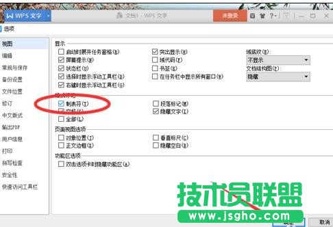 wps文字怎樣顯示制表符標記