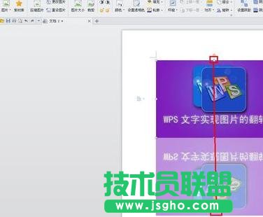 WPS文字怎么翻轉圖片