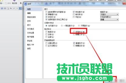 如何去掉wps文字中的小點