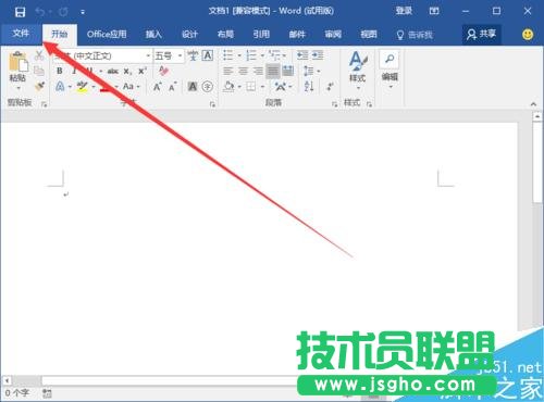 Word2016中添加開發工具選項卡到界面顯示的方法