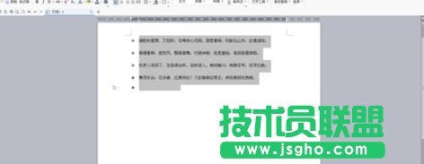 wps文字中怎樣設置個性項目符號