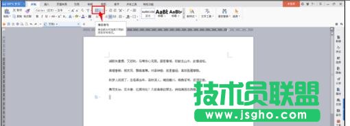 wps文字中怎樣設置個性項目符號