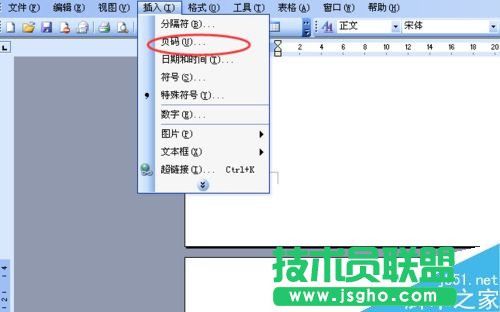 word文檔怎么標注頁碼呢?    三聯