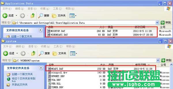 MSAPI.DAT，WINDNSAPI.DAT是什么文件