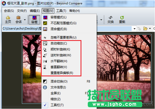 Beyond Compare如何快速進(jìn)行圖片對(duì)比 三聯(lián)