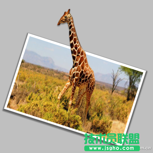 PPT如何制作裸眼3D立體圖 三聯