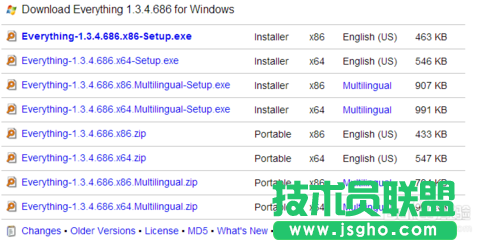 怎么安裝搜索軟件everything的語言包？