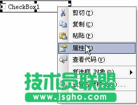 在Word文檔中輸入方框中打對勾