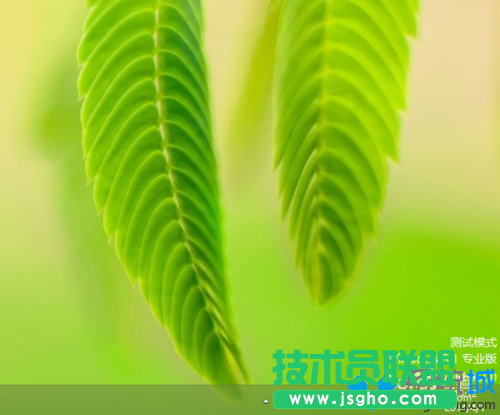 出現(xiàn)了&ldquo;測試模式&rdquo;