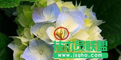 如何在ppt中插入聲音