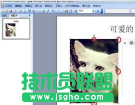 ppt2013怎么設置文字環繞效果?
