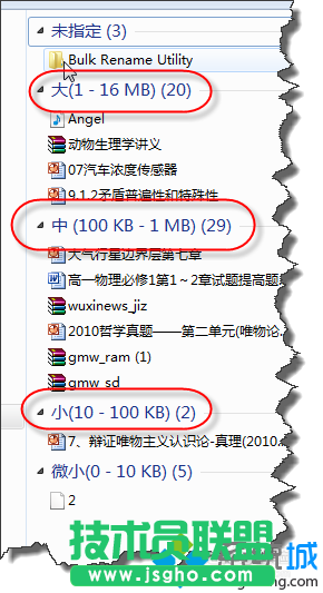 文件大小進行詳細