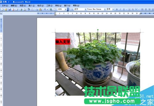 word文檔怎么在圖片上寫字?