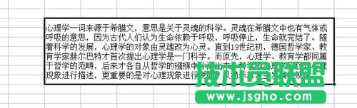 excel表格中如何編輯一大段文字?