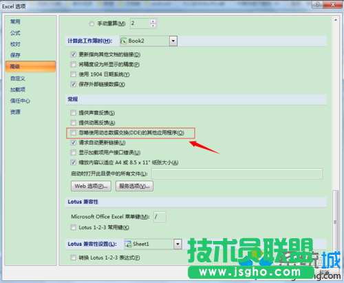 &ldquo;忽略使用動態數據交換(DDE)的其他應用程序&rdquo;
