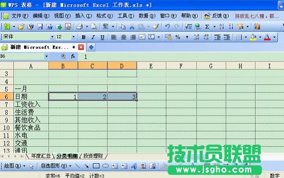 WPS如何打造個性化記賬本