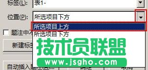 Word2013怎樣為表格添加題注