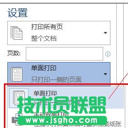 word2013如何進(jìn)行雙面打印 三聯(lián)