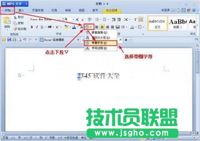 WPS文字帶圈文字要怎么樣輸入