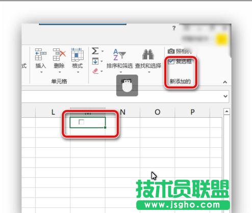 excel 2013怎樣插入復(fù)選框