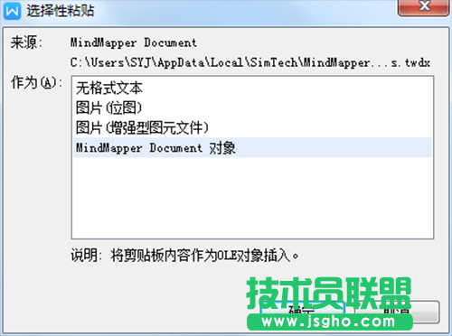 MindMapper導圖插入到Word