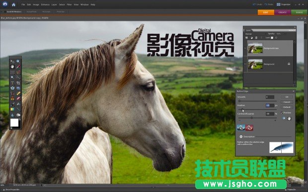 銳化你的野生動物攝影作品