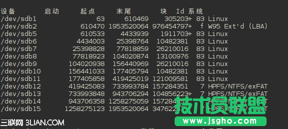 在RAID軟磁盤陣列上搭建linux系統
